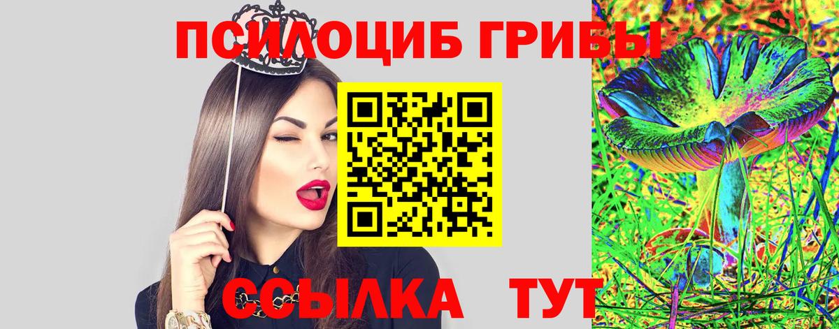 Галлюциногенные грибы Psilocybe Магнитогорск